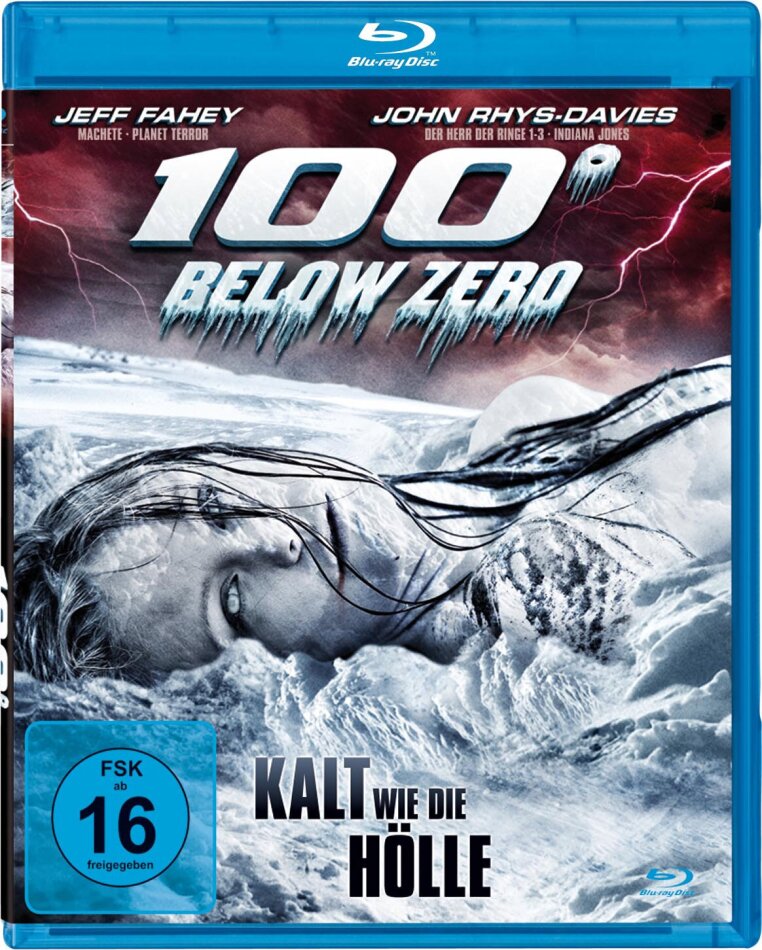 100° Below Zero - Kalt wie die Hölle (2013)
