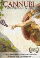 Cannubi: A Vineyard Kissed by God