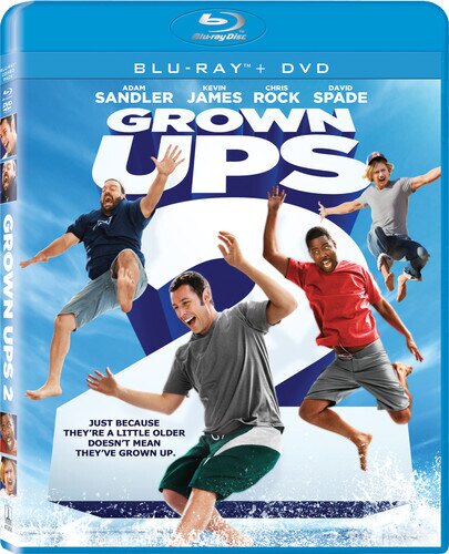 Grown Ups 2 (2013) Blu-ray + DVD