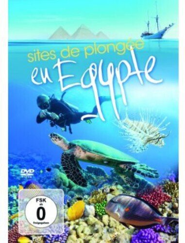 Sites de plongee en Egypte - Guide de voyage