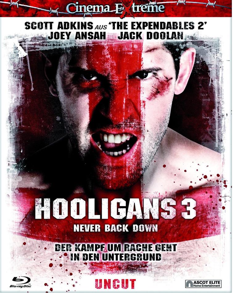Hooligans 3 - Never Back Down (2013) Cinema Extreme - Uncut