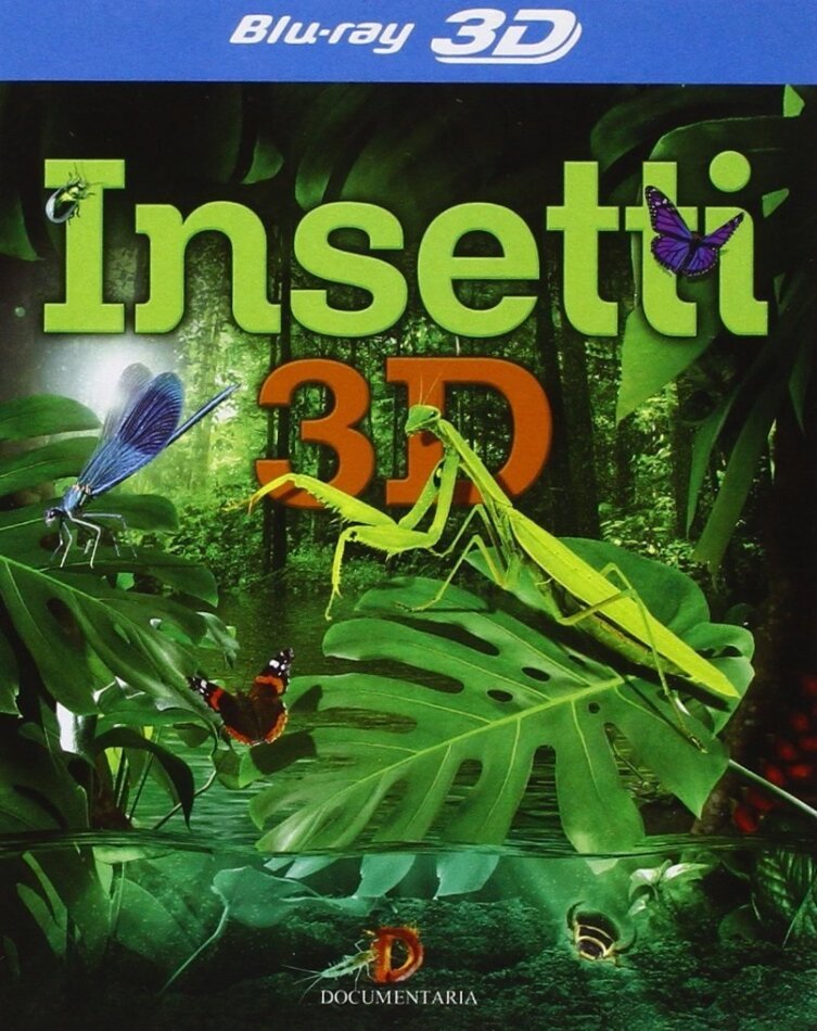 Insetti