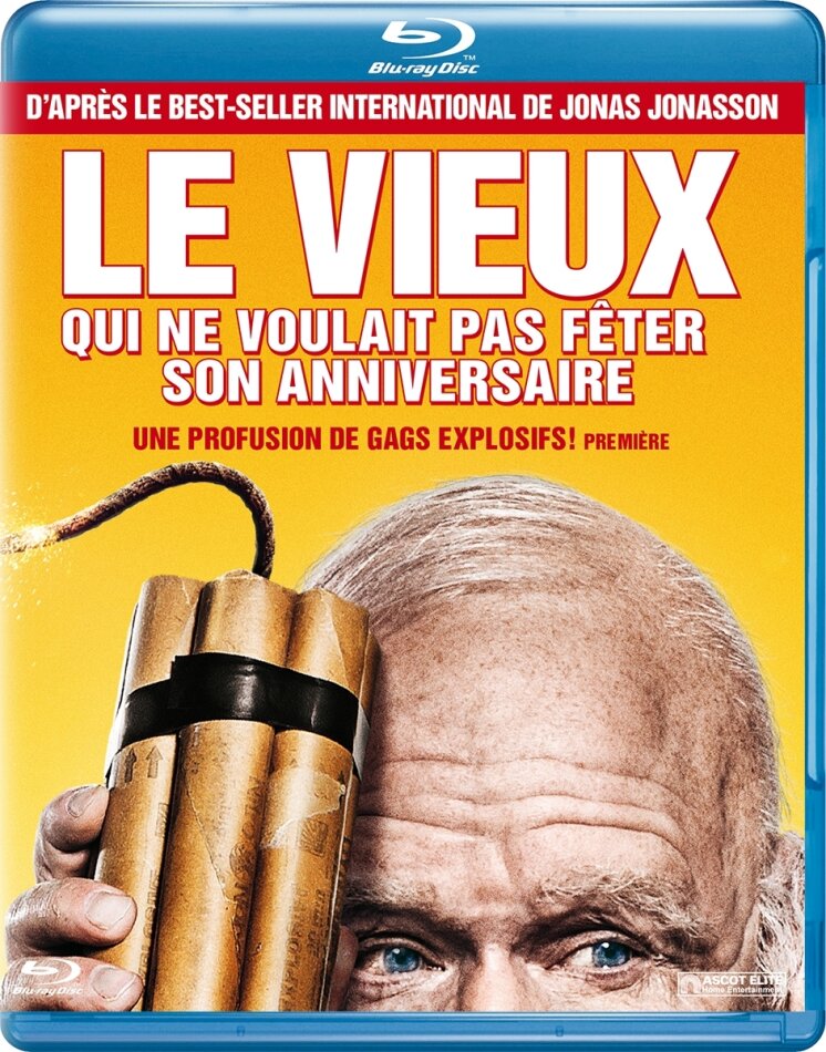 Le vieux qui ne voulait pas fêter son anniversaire (2013)