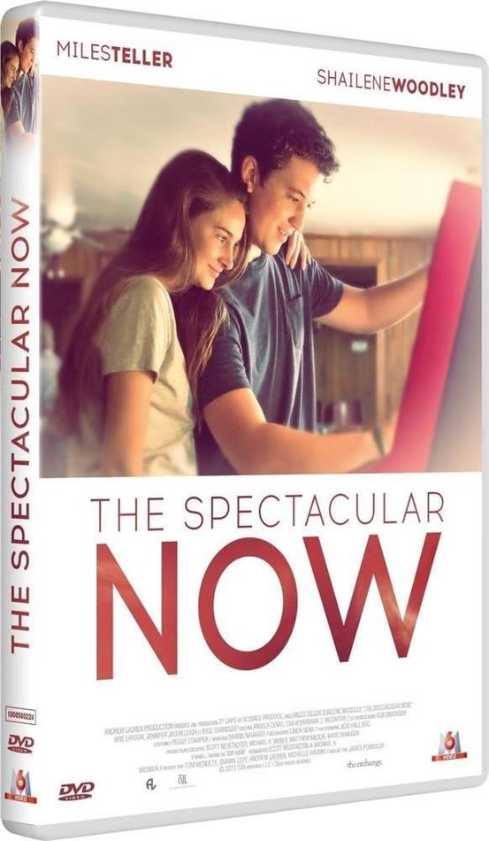 The Spectacular Now (2013)