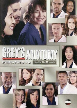 Grey's Anatomy - Season 10 (6 DVDs)