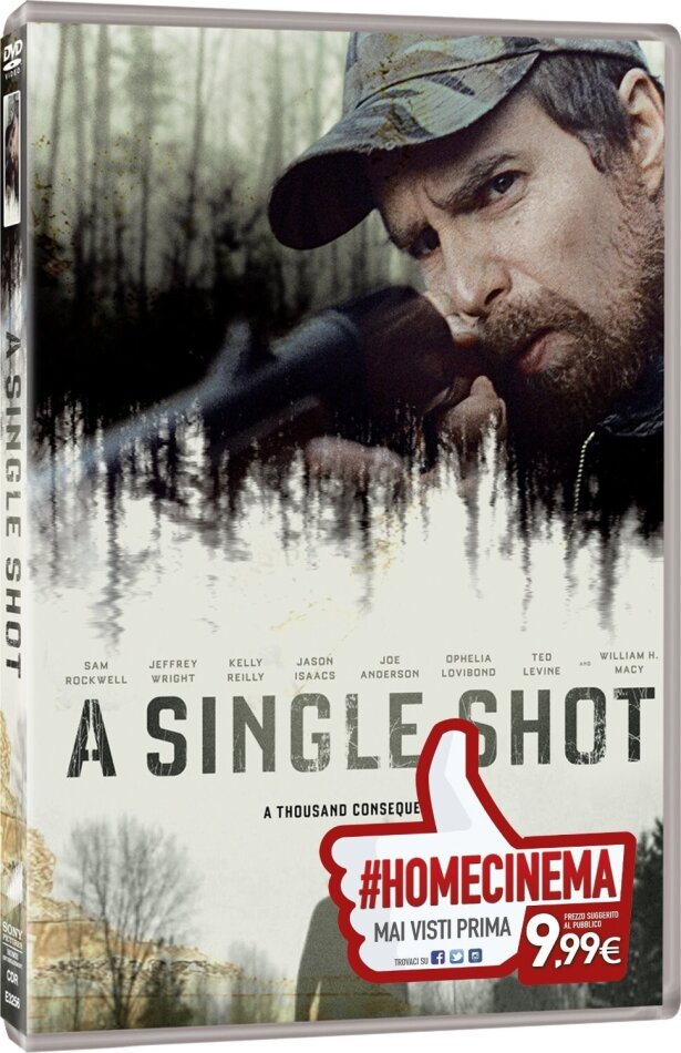 A Single Shot (2013)