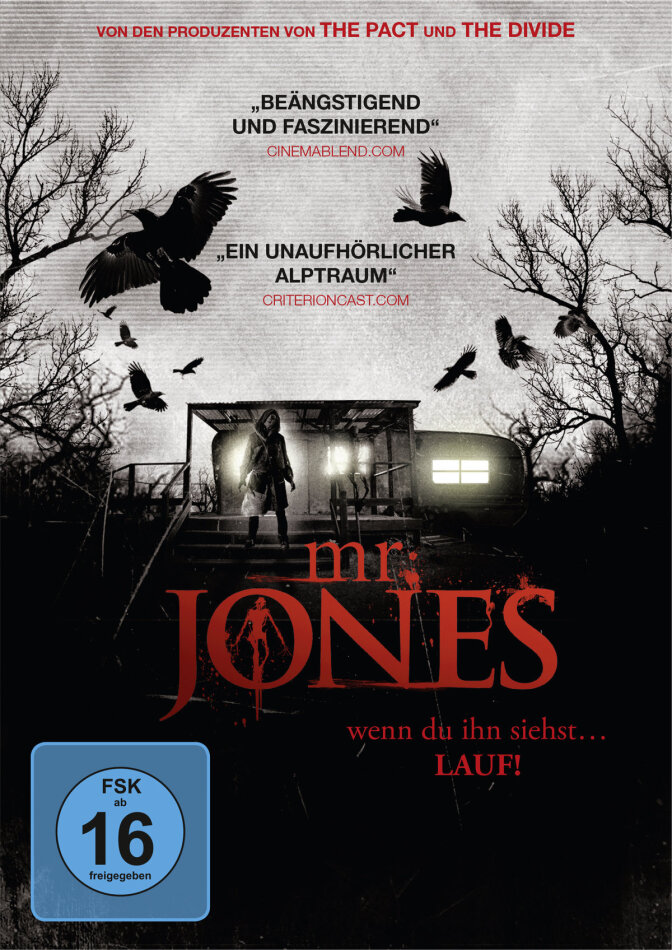 Mr. Jones (2013)