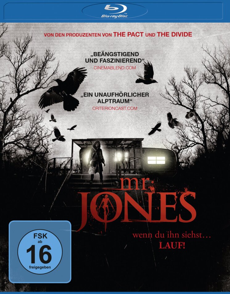 Mr. Jones (2013)