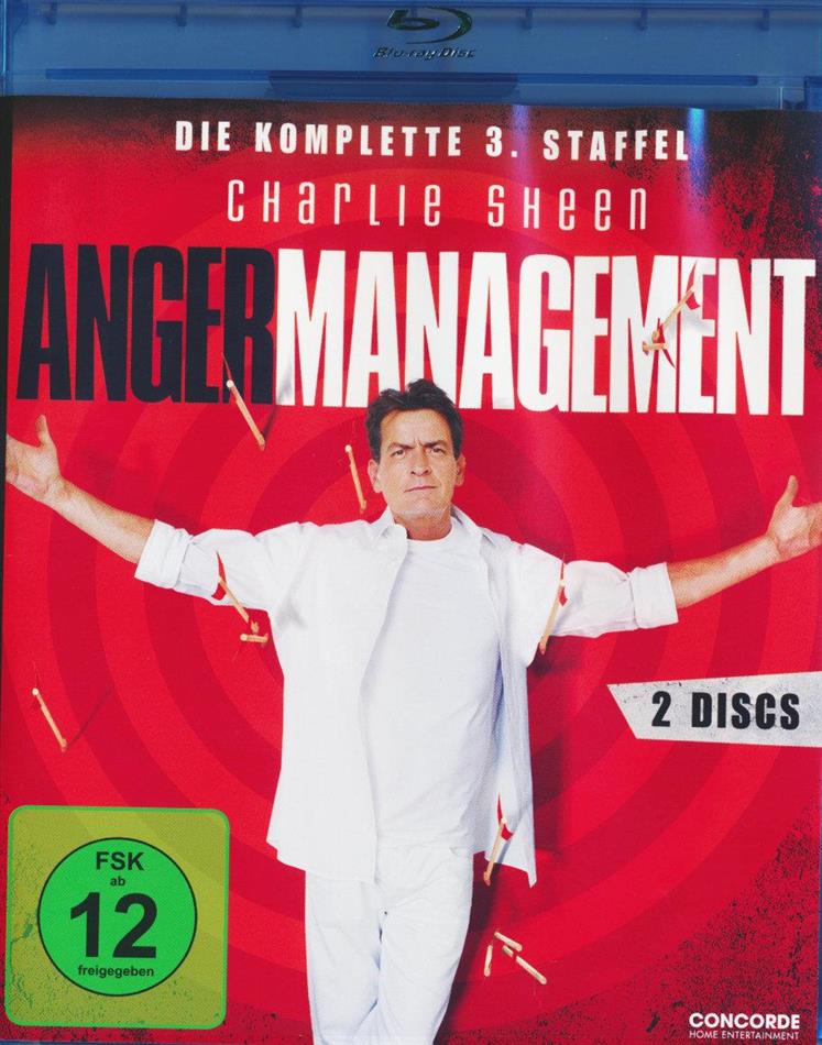Anger Management - Staffel 3 2 Blu-rays