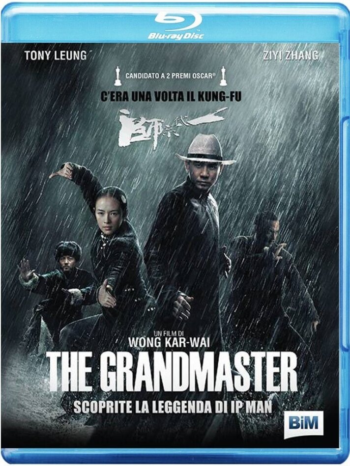 The Grandmaster - Yi dai zong shi (2013)