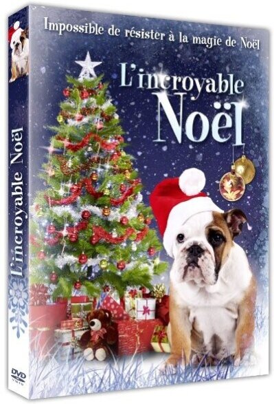 L'incroyable Noël (2013)