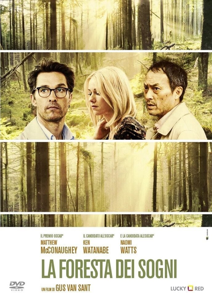 La foresta dei sogni (2015)
