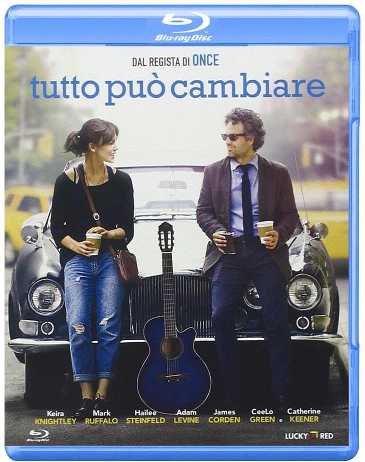 Tutto può cambiare (2013)