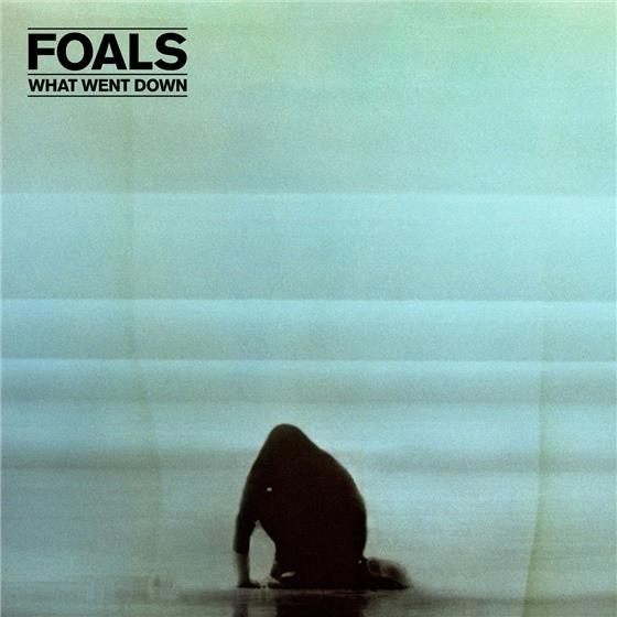 Foals - What Went Down - Deluxe CD + DVD