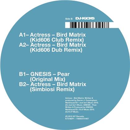 Actress - Bird Matrix - Remixes (12" Maxi)