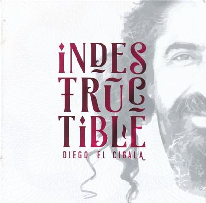 Diego El Cigala - Indestructible