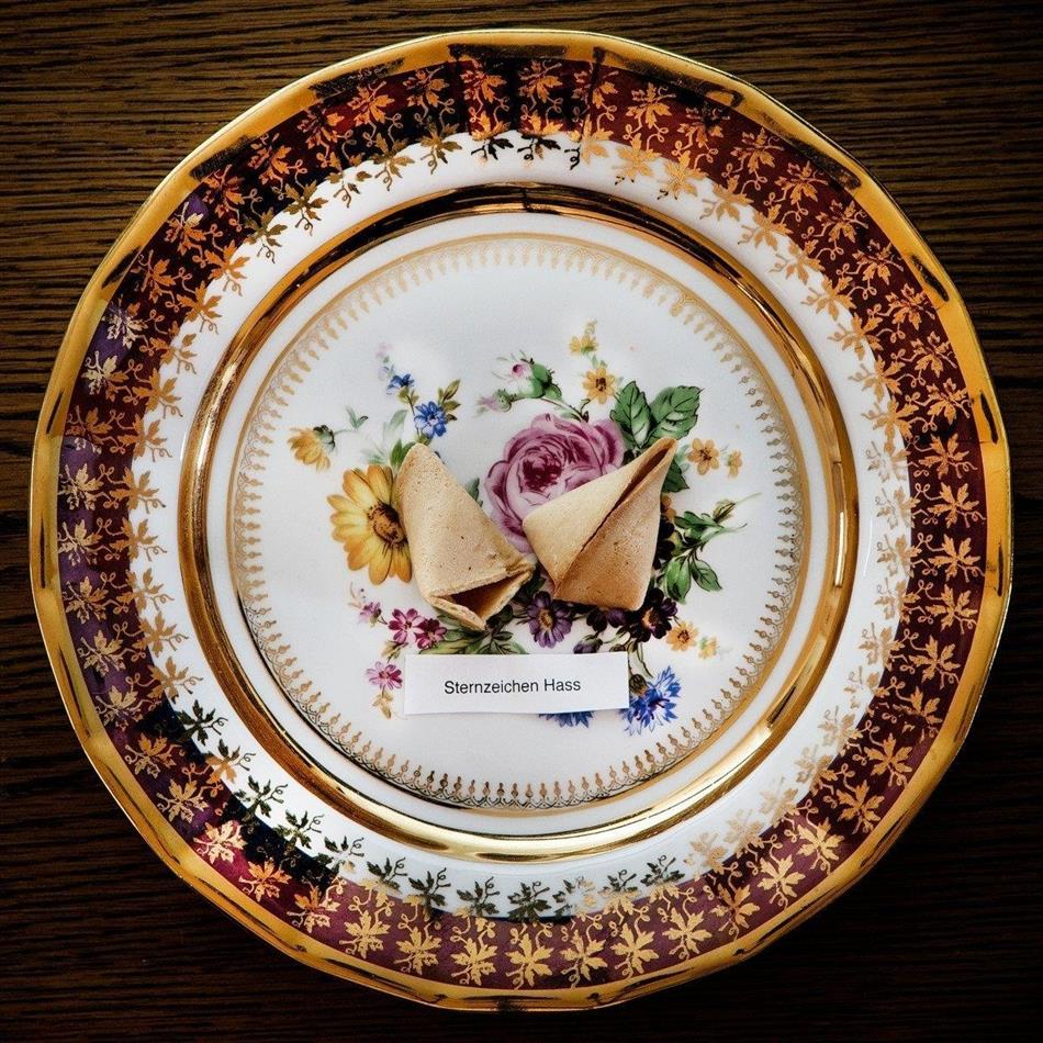 Audio88 - Sternzeichen Hass - Picture Vinyl Colored, LP