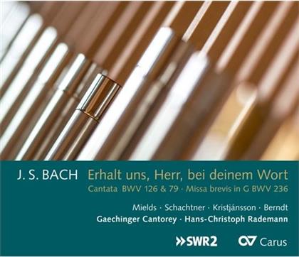 Dorothee Mields, Benno Schachtner, Johann Sebastian Bach (1685-1750), Hans-Christoph Rademann & G&auml;chinger Kantorei Stuttgart - Erhalt Uns Herr, Bei Deinem Wort - Missa brevis BWV 236 +Kantaten BWV 79 & 126