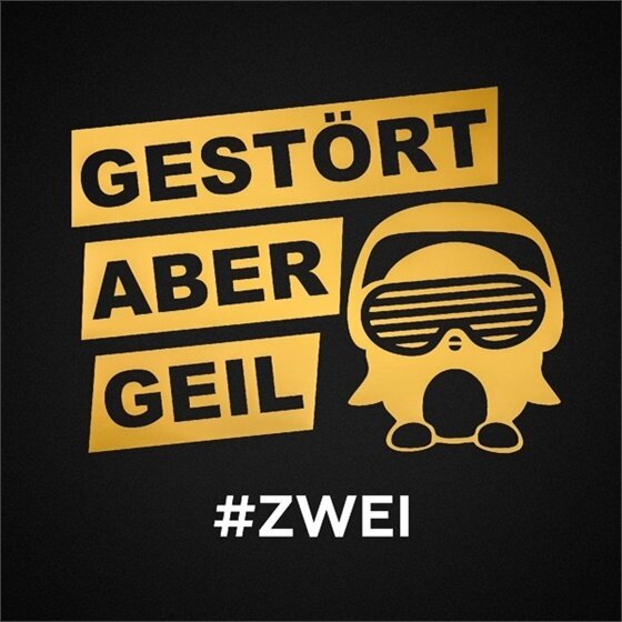 Gestört Aber Geil - Zwei Limited Edition, 2 LPs