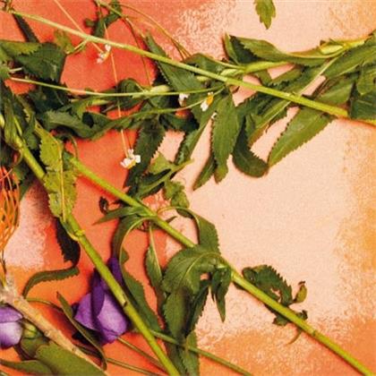 Denai Moore - We Used To Bloom