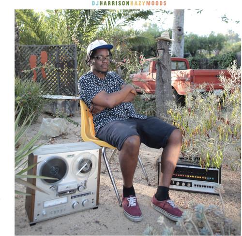 DJ Harrison - Hazymoods LP