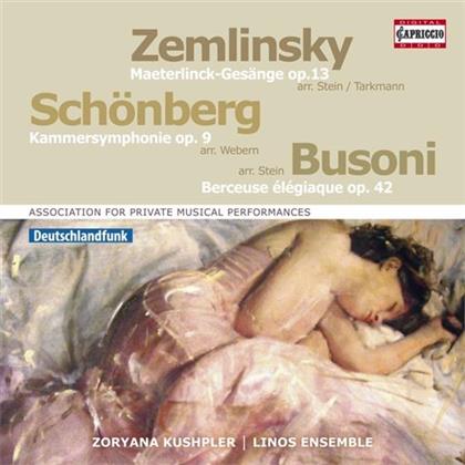 Ferruccio Busoni (1866-1924), Arnold Sch&ouml;nberg (1874-1951), Alexander von Zemlinsky (1871-1942), Kushpler Zoryana, Kushpler Zoryana, &hellip; - Kammersinfonie / 6 Ges&auml;nge / Berceuse Elegiaque