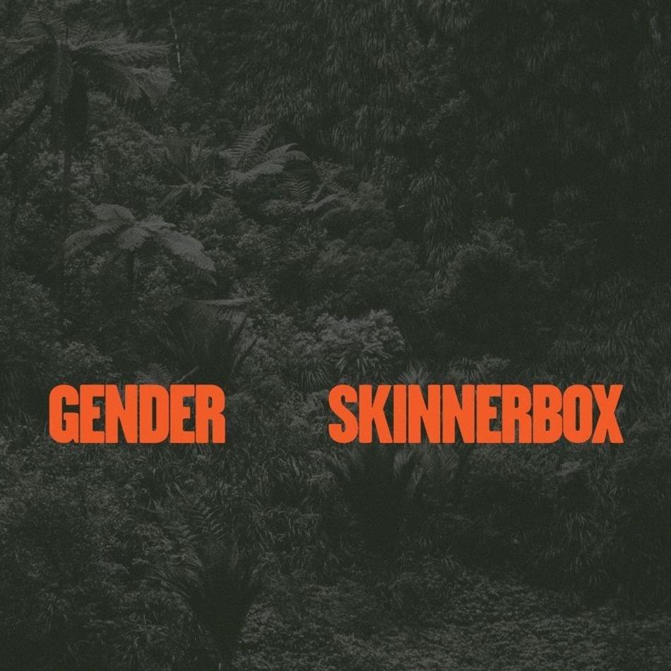 Skinnerbox - Gender 12" Maxi