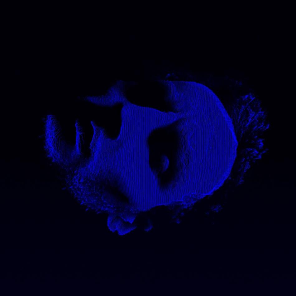 Fern - --- - Limited Black & Silver Vinyl Colored, 12" Maxi