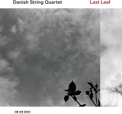 Danish String Quartet - Last Leaf