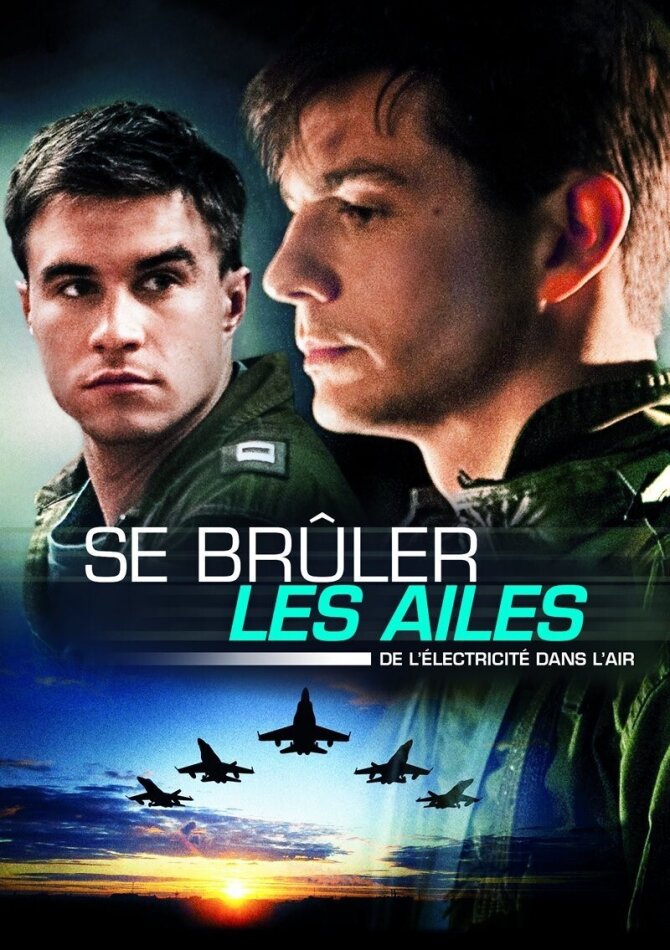 Se brûler les ailes (2013)