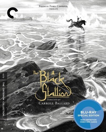 The Black Stallion (1979) Criterion Collection