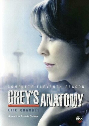 Grey's Anatomy - Season 11 (6 DVDs)
