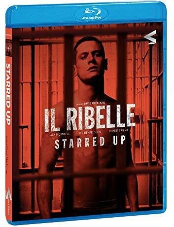 Il ribelle (2013)