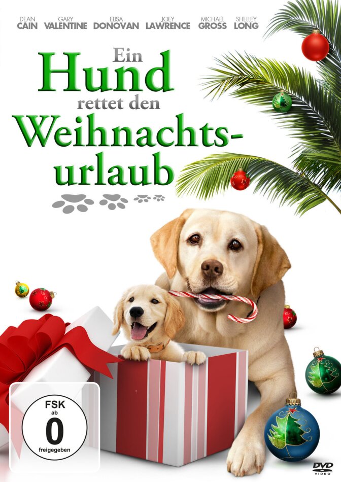 Ein Hund rettet den Weihnachtsurlaub (2012)