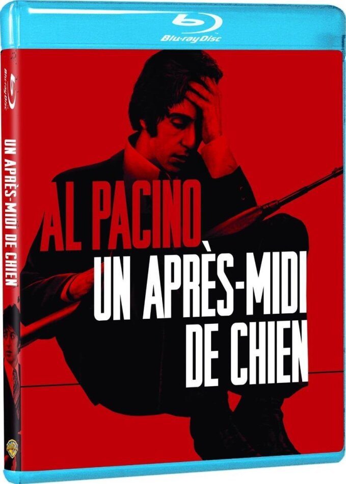 Un après-midi de chien (1975)