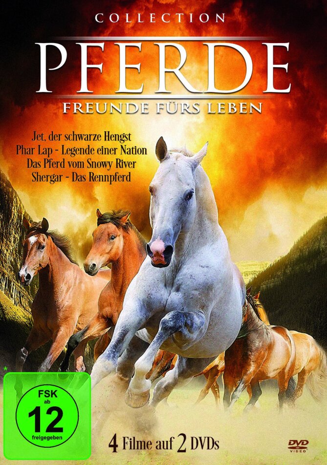 Pferde - Freunde fürs Leben 2 DVDs