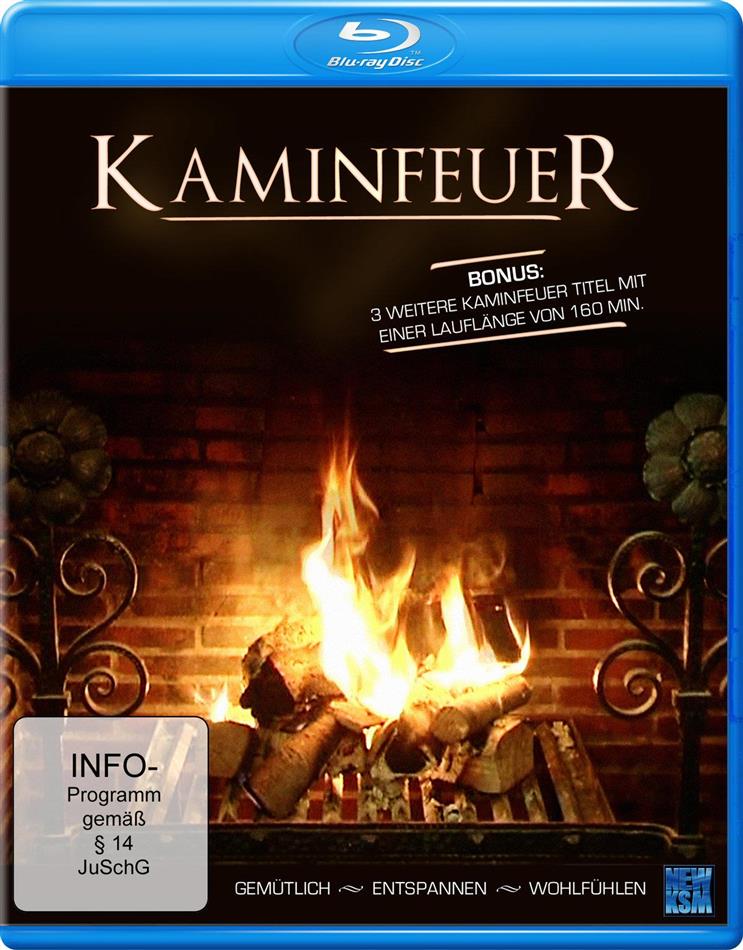 Kaminfeuer - Gemütlich - Entspannen - Wohlfühlen