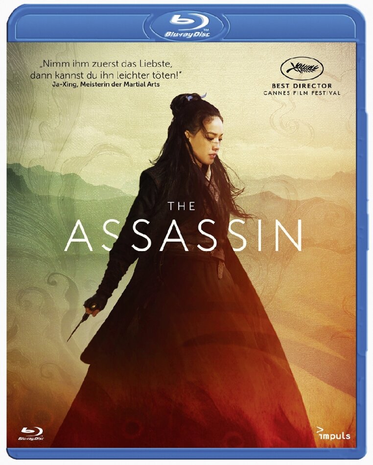 The Assassin (2015)