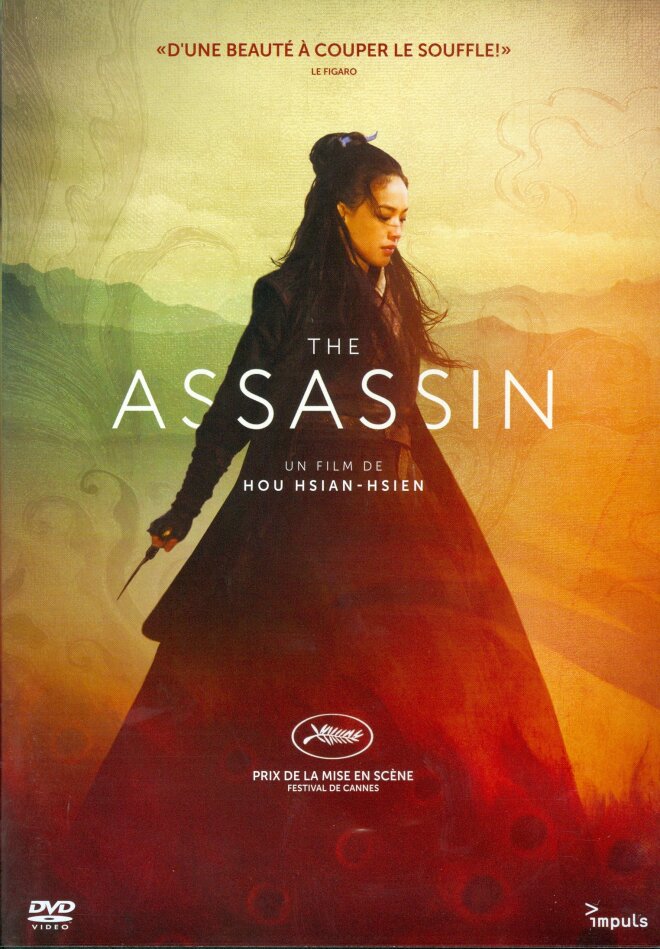 The Assassin (2015)