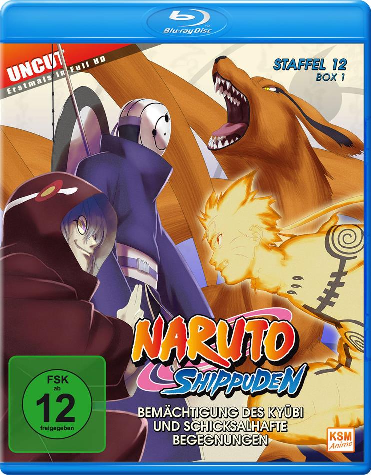Naruto Shippuden - Staffel 12 - Box 1 Uncut, 2 Blu-rays