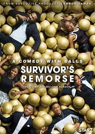 Survivor's Remorse - Season 2 2 DVDs