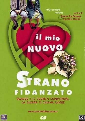 Il mio nuovo strano fidanzato (2004)