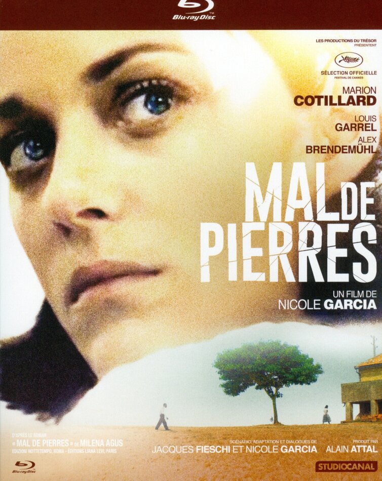Mal de pierres (2016)