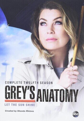 Grey's Anatomy - Season 12 6 DVDs