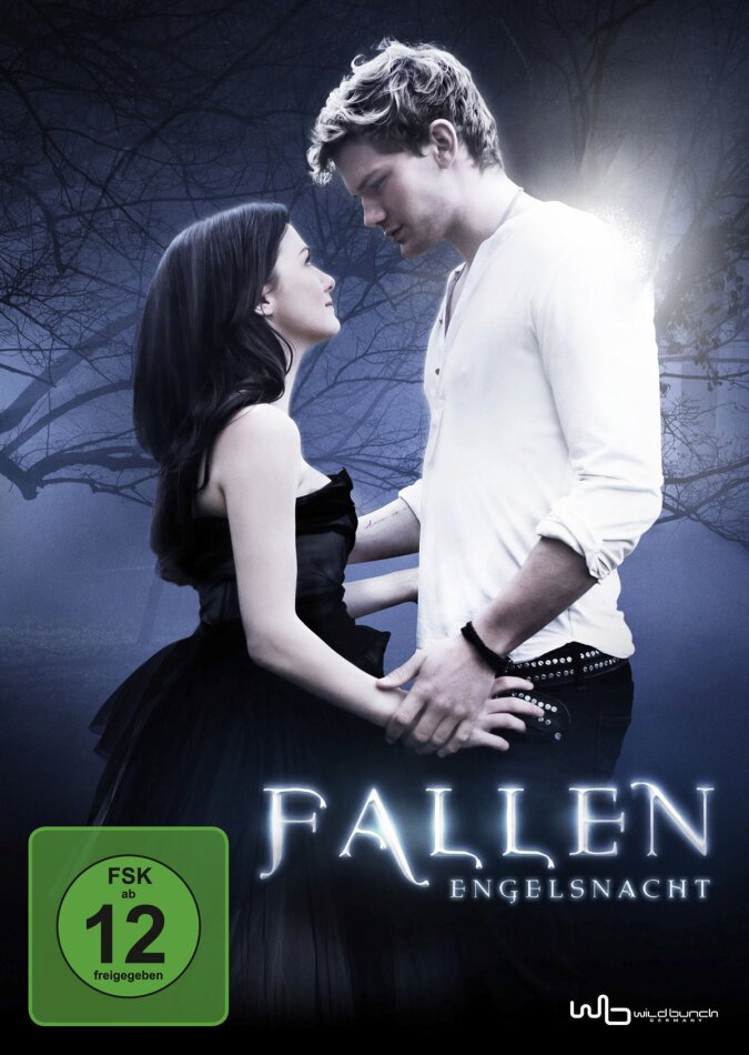 Fallen - Engelsnacht (2016)