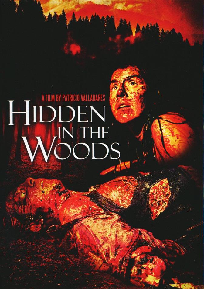 Hidden in the Woods (2014) Cover B, Mediabook, Blu-ray + 2 DVDs