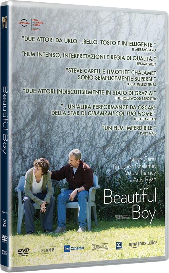 Beautiful Boy (2018)