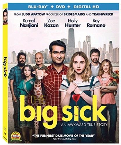 The Big Sick (2017)