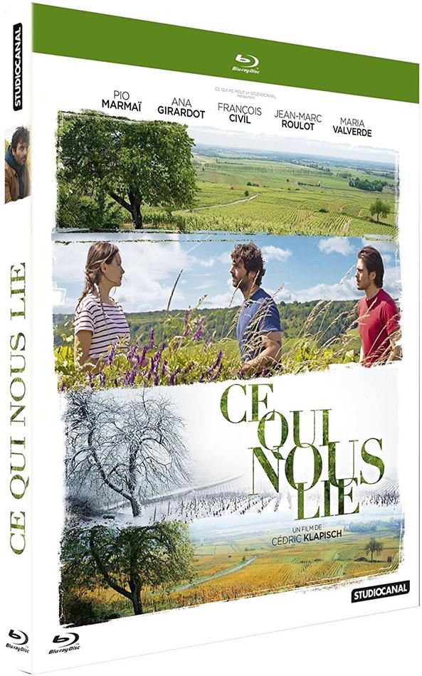 Ce qui nous lie (2017)