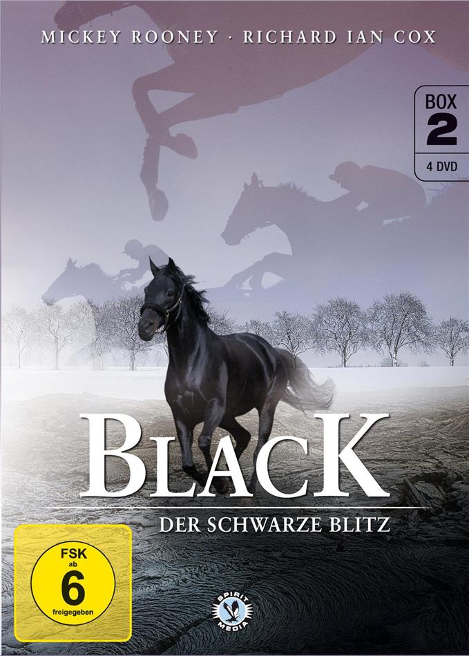 Black - Der schwarze Blitz 4 DVDs
